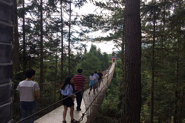 境城名匠團(tuán)隊(duì)?wèi)敉馔卣够顒?dòng)